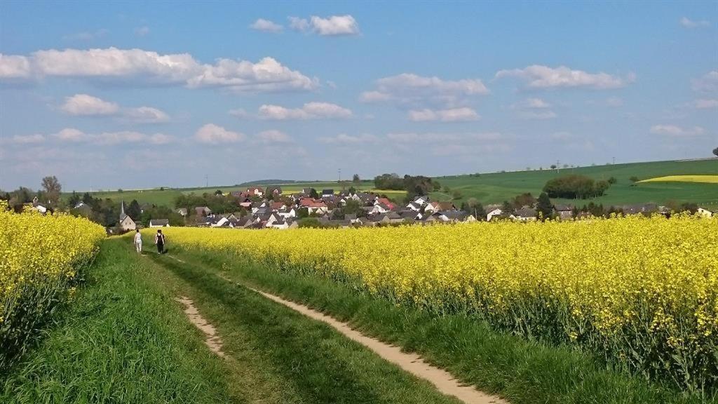 Ferienwohnung Maifeld فيرشيم المظهر الخارجي الصورة